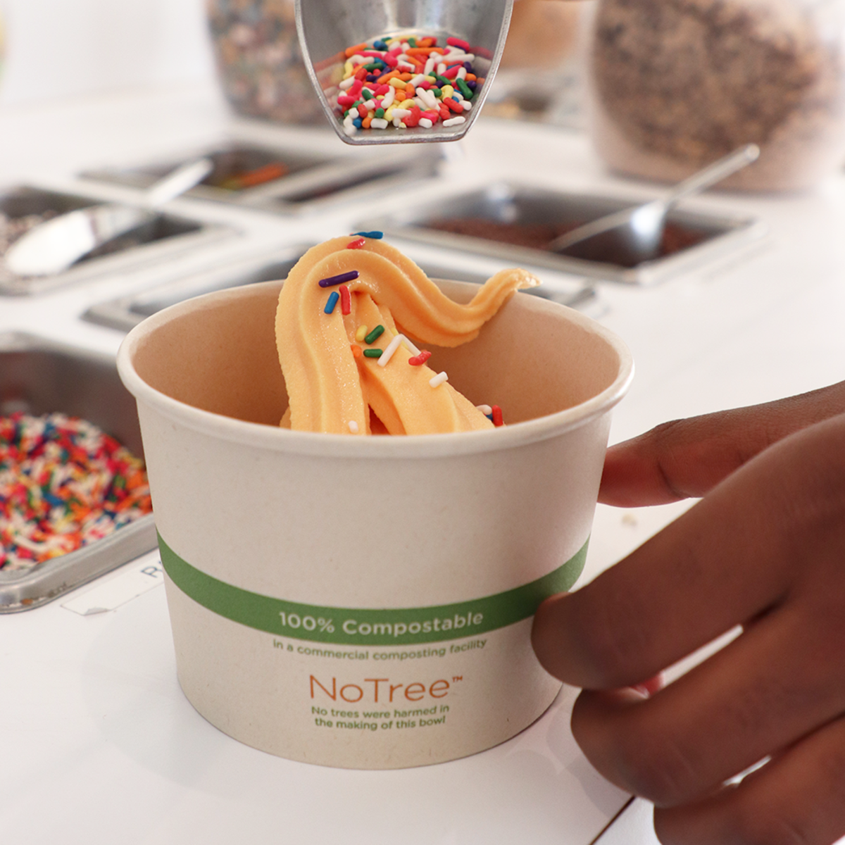 16 oz Hot & Cold Paper Food Container | PLA Lined | NoTree | 500/case - World Centric