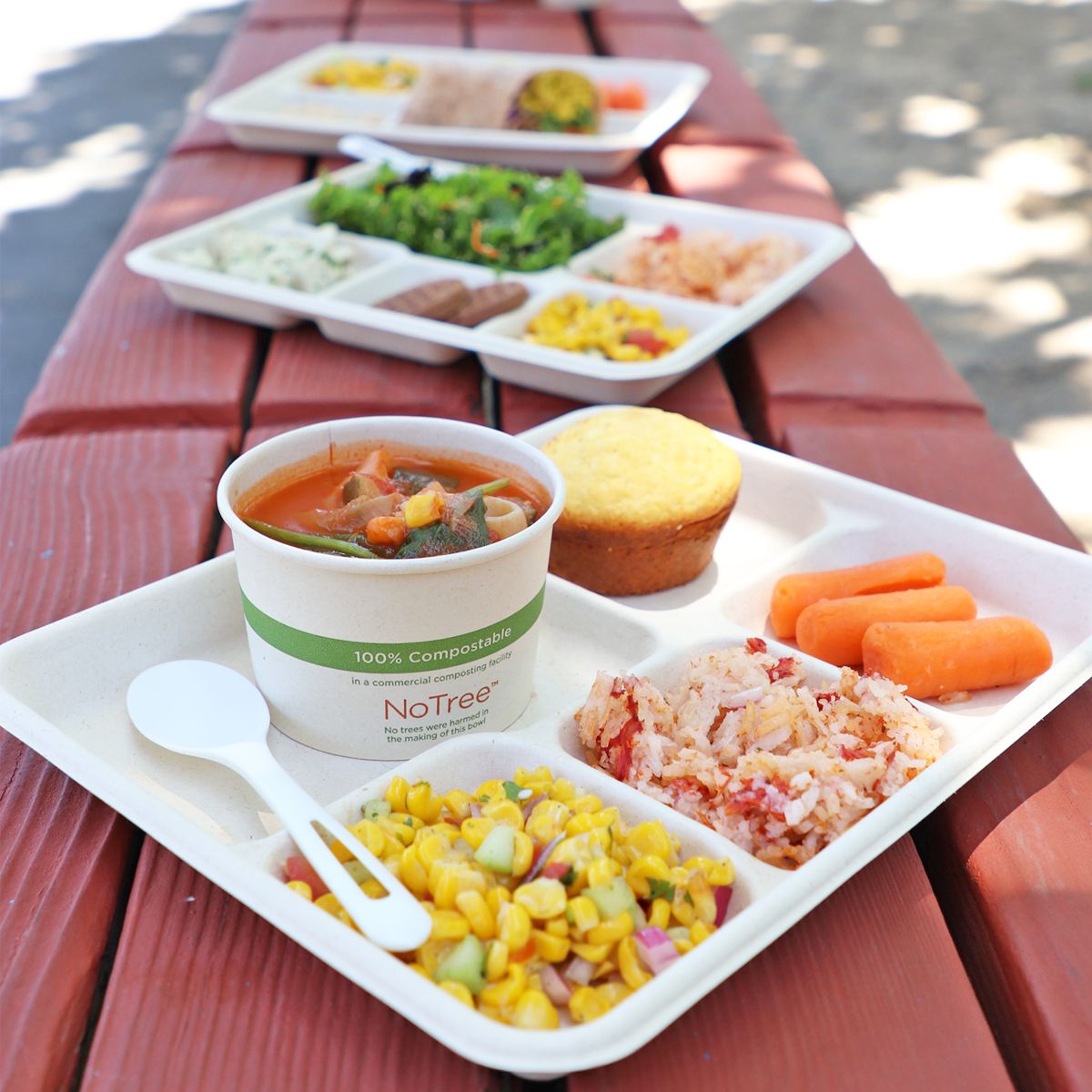 18 oz Fiber Plate 5-Compt | 400/case - World Centric