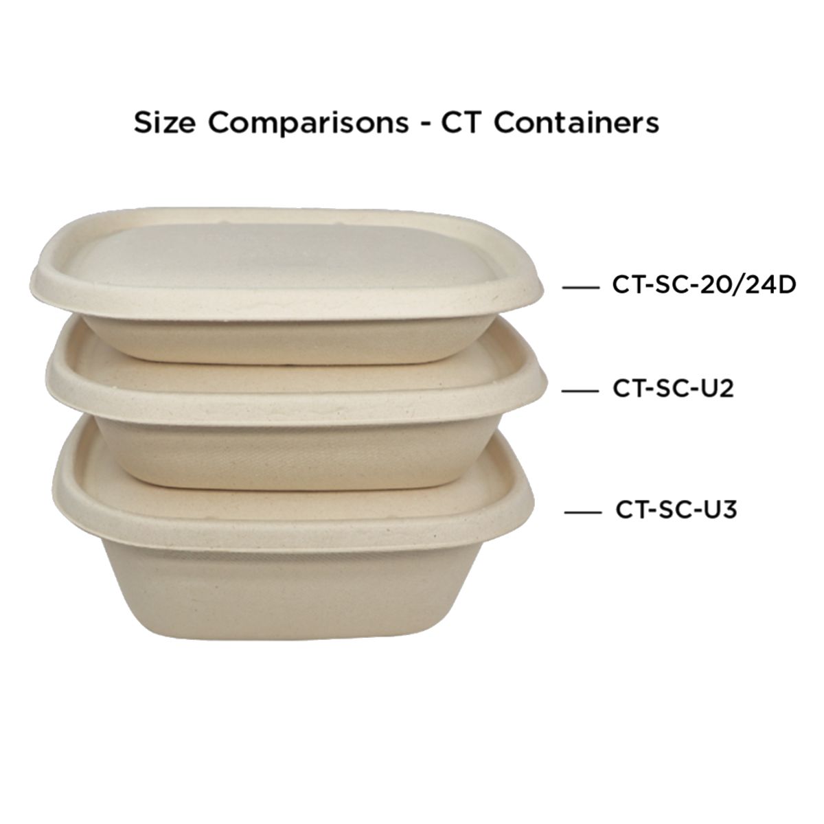 24 oz Fiber Box, 2–Compt | 400/case - World Centric