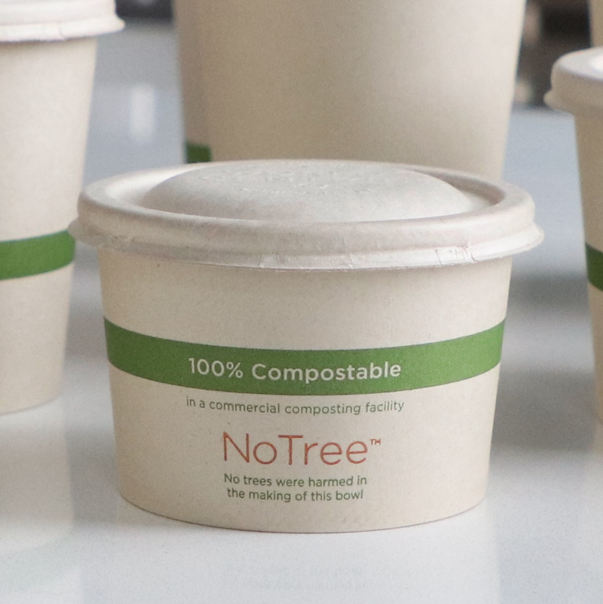 8 oz Hot & Cold Paper Food Container | PLA Lined | NoTree | 500/case - World Centric