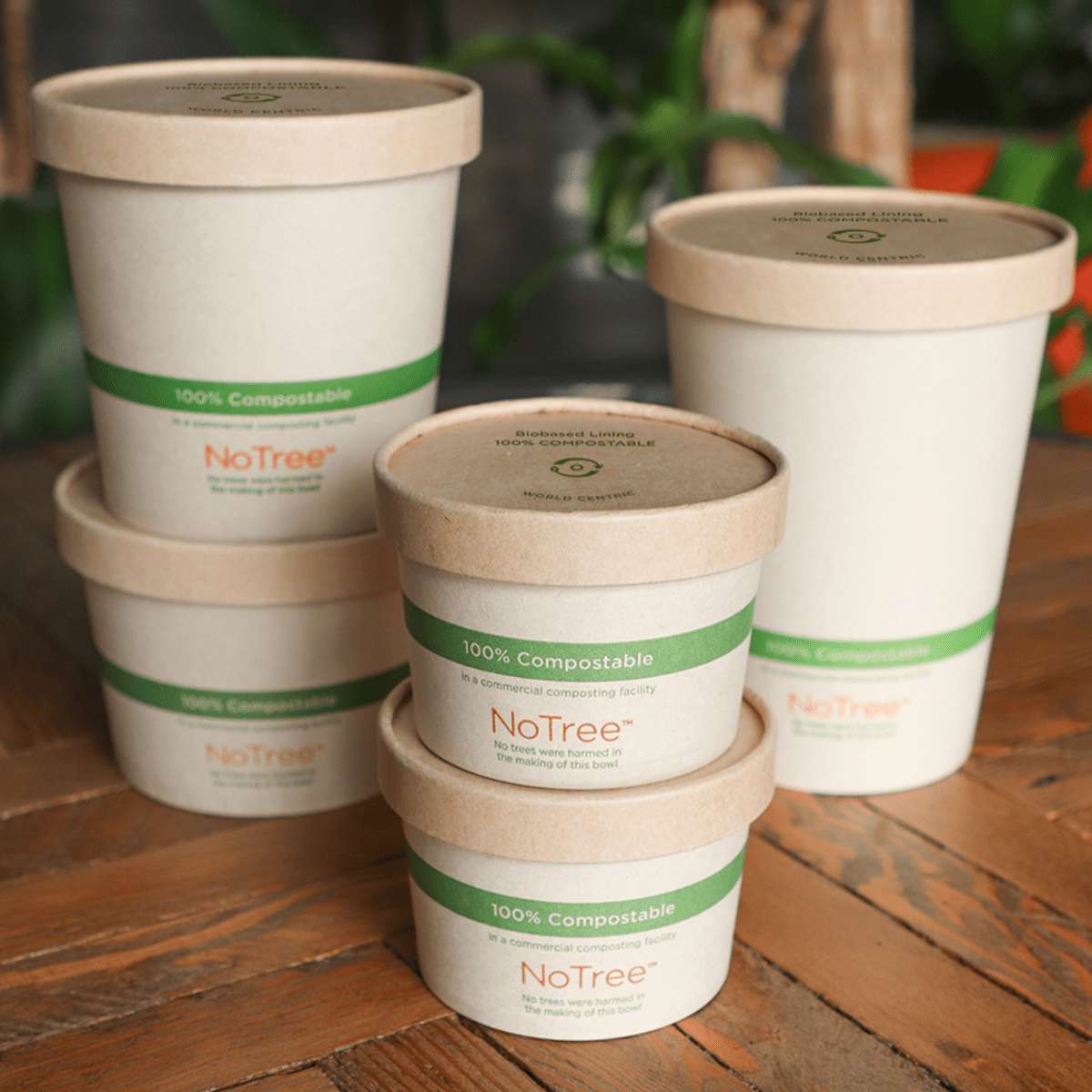 LID Paper - 12-16 oz NoTree Paper Bowls | 500/case - World Centric