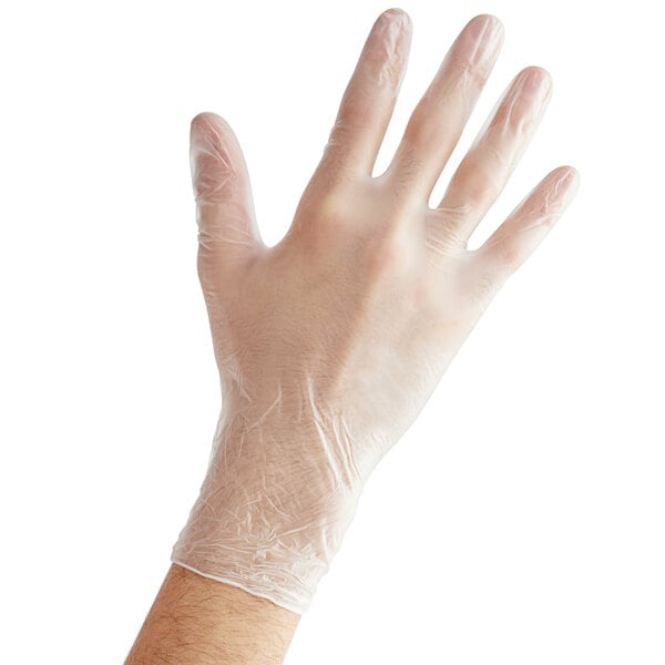 Powder Free Vinyl gloves for food handling | Medium | Clear | 1000/case - Empress