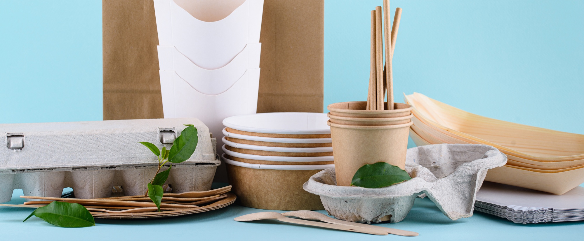 Sustainable Food Packaging: The Future Of Dining