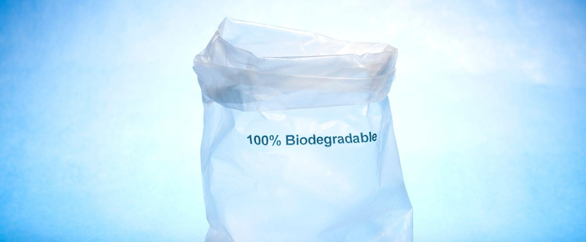 Best Biodegradable Garbage Bags for Eco-Conscious Homes
