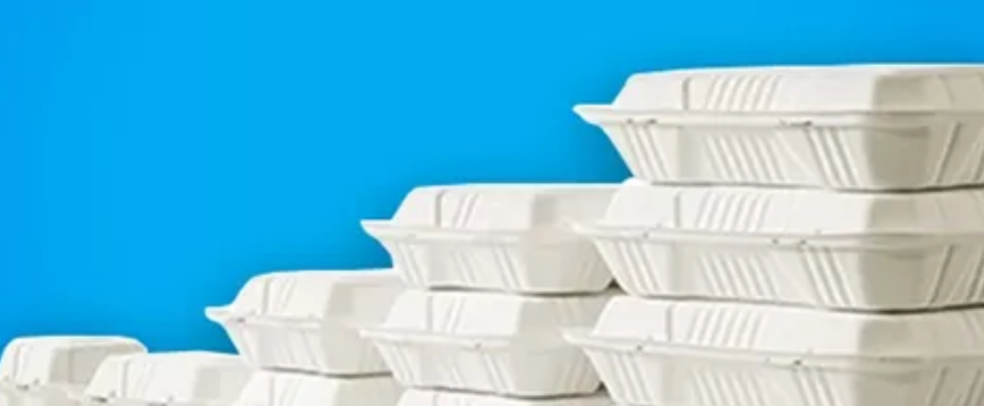 What is Clamshell Packaging: Types, Benefits & Uses