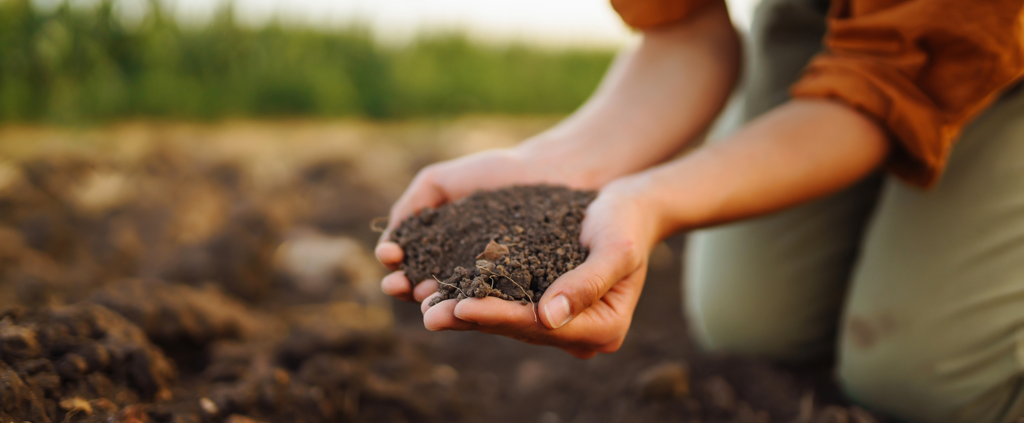 Why to compost, how to compost and the benefits of composting.