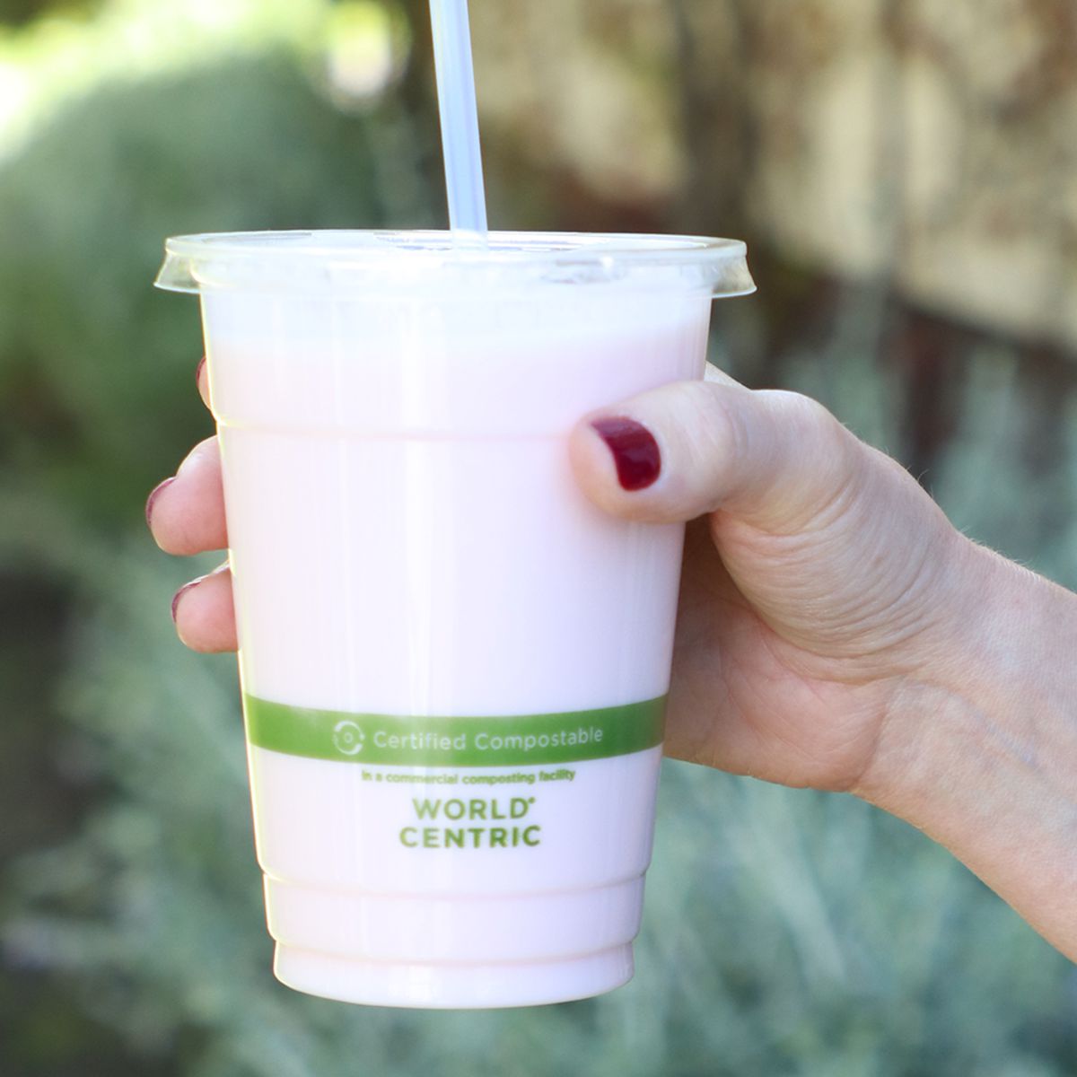 16 oz Cold Cup | Clear | Certified Compostable | 1000/case - World Centric