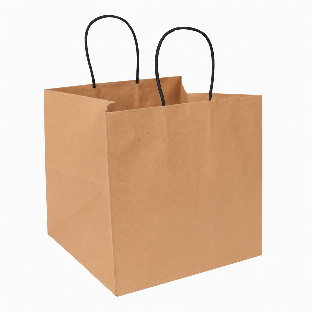 10"X10"X10"paper Black handle bag, kraft, 120 gsm, 250/case - Earth Care