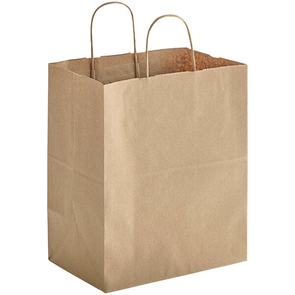 Twisted Handle kraft paper bag 10x6.7x12" | 250/case - Wellcare