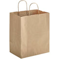 Twisted Handle kraft paper bag 10x6.7x12" | Bistro | 250/case - Wellcare