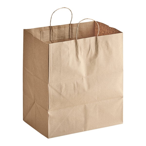 Twisted Handle kraft paper bag 14x10x15" | 250/case - Wellcare