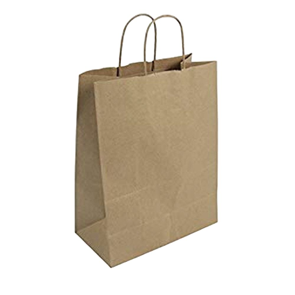WellChoice Kraft Twisted Handle paper bag 10x5x13" | 250/case